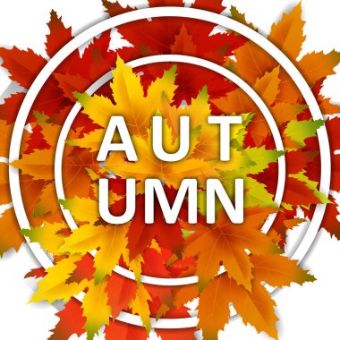 Sonbahar Arka Plan Şablonu, yaprakları, alışveriş indirimi promosyon, Kartpostal ve Davet kartı için mevsimlik poster düşen demet ile. Vektör illüstrasyon Fişi, Banner, Flyer