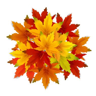 Sonbahar Arka Plan Şablonu, yaprakları, alışveriş indirimi promosyon, Kartpostal ve Davet kartı için mevsimlik poster düşen demet ile. Vektör illüstrasyon Fişi, Banner, Flyer