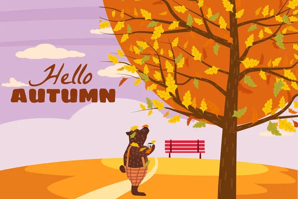 Olá Outono urso bonito em calças com uma xícara de café quente. Ele fica debaixo de uma árvore e olha para a árvore de outono, como as folhas caem. Ilustração vector isolado cartaz do cartão postal da bandeira — Vetor de Stock