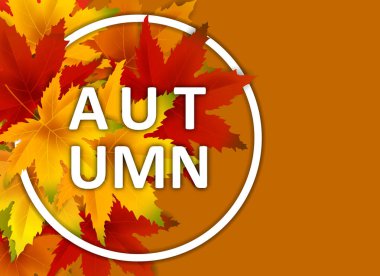 Özel Teklif Sonbahar Satış Arka Plan Şablonu, yaprakları, alışveriş indirimi promosyon, Kartpostal ve Davet kartı için mevsimlik poster düşen demet ile. Vektör illüstrasyon Fişi