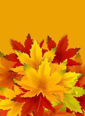 Sonbahar Arka Plan Şablonu, yaprakları, alışveriş indirimi promosyon, Kartpostal ve Davet kartı için mevsimlik poster düşen demet ile. Vektör illüstrasyon Fişi, Banner, Flyer