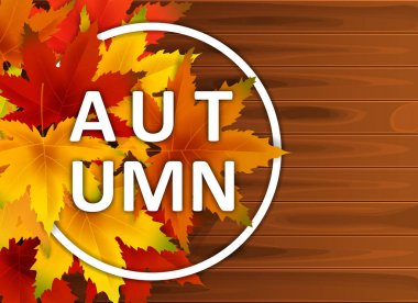 Sonbahar Arka Plan Şablonu, ahşap tahtalar, alışveriş indirimi promosyon, Kartpostal ve Davet kartı için mevsimlik poster yaprakları düşen demet ile. Vektör illüstrasyon Fişi