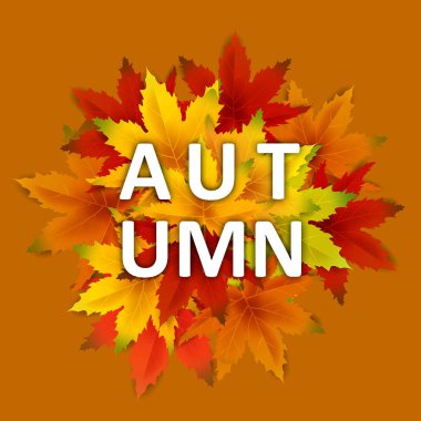 Özel Teklif Sonbahar Satış Arka Plan Şablonu, yaprakları, alışveriş indirimi promosyon, Kartpostal ve Davet kartı için mevsimlik poster düşen demet ile. Vektör illüstrasyon Fişi