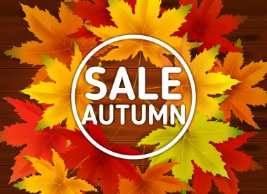 Satılık Sonbahar Arka Plan Şablonu, ahşap tahtalar, alışveriş indirimi promosyon, Kartpostal ve Davet kartı için mevsimlik poster yaprakları düşen demet ile. Vektör çizimi