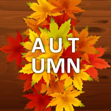 Sonbahar Arka Plan Şablonu, ahşap tahtalar, alışveriş indirimi promosyon, Kartpostal ve Davet kartı için mevsimlik poster yaprakları düşen demet ile. Vektör illüstrasyon Fişi