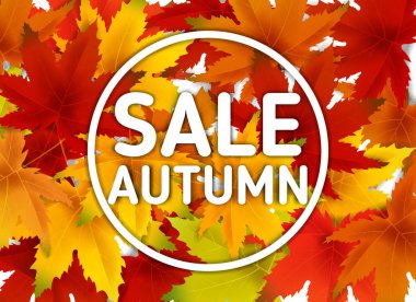 Satış Sonbahar Arka Plan Şablonu, yaprakları, alışveriş indirimi promosyon, Kartpostal ve Davet kartı için mevsimlik poster düşen demet ile. Vektör illüstrasyon Fişi, Banner