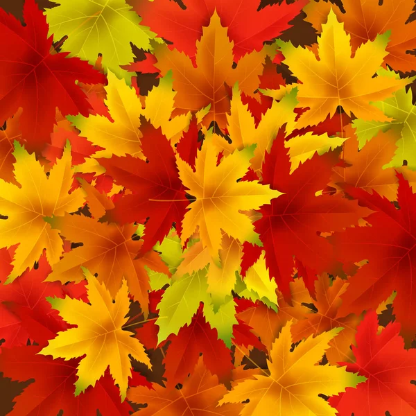 Outono caindo folhas modelo de fundo com vermelho, laranja, marrom e amarelo folhas de bordo. Cartaz de ilustração vetorial, quadro, banner web —  Vetores de Stock