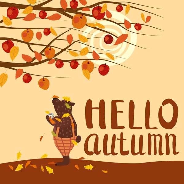 Cute autumn bear covered in fallen autumn leaves with a cup of coffee, Hello Autumn lettering, fall under apple tree. Vector, illustration isolated flat cartoon style