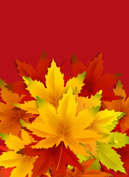 秋の背景テンプレートは、葉の落ちる束、ショッピングセールやショッピング割引プロモーションのための季節のポスター、はがきと招待状。ベクトルイラストバウチャー, バナー, チラシ — ストックベクタ