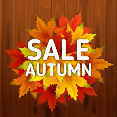 Satılık Sonbahar Arka Plan Şablonu, ahşap tahtalar, alışveriş indirimi promosyon, Kartpostal ve Davet kartı için mevsimlik poster yaprakları düşen demet ile. Vektör çizimi