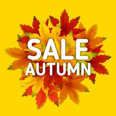 Özel Teklif Sonbahar Satış Arka Plan Şablonu, yaprakları, alışveriş indirimi promosyon, Kartpostal ve Davet kartı için mevsimlik poster düşen demet ile. Vektör illüstrasyon Fişi