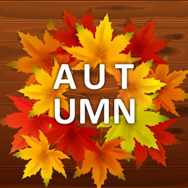 Sonbahar Arka Plan Şablonu, ahşap tahtalar, alışveriş indirimi promosyon, Kartpostal ve Davet kartı için mevsimlik poster yaprakları düşen demet ile. Vektör illüstrasyon Fişi