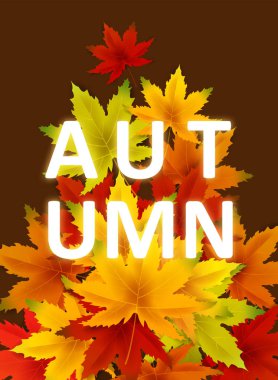 Sonbahar Arka Plan Şablonu, yaprakları, alışveriş indirimi promosyon, Kartpostal ve Davet kartı için mevsimlik poster düşen demet ile. Vektör illüstrasyon Fişi, Banner, Flyer