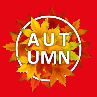 Özel Teklif Sonbahar Satış Arka Plan Şablonu, yaprakları, alışveriş indirimi promosyon, Kartpostal ve Davet kartı için mevsimlik poster düşen demet ile. Vektör illüstrasyon Fişi