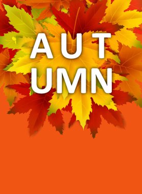 Sonbahar Arka Plan Şablonu, yaprakları, alışveriş indirimi promosyon, Kartpostal ve Davet kartı için mevsimlik poster düşen demet ile. Vektör illüstrasyon Fişi, Banner, Flyer