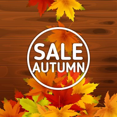 Satılık Sonbahar Arka Plan Şablonu, ahşap tahtalar, alışveriş indirimi promosyon, Kartpostal ve Davet kartı için mevsimlik poster yaprakları düşen demet ile. Vektör çizimi