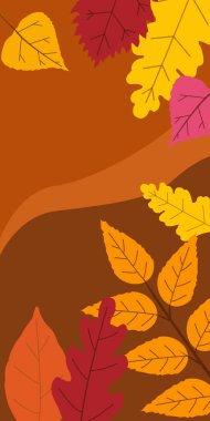 Sonbahar düşmüş sonbahar şablonu turuncu sarı yaprakları bırakır. Arka planlar sosyal medya hikayeleri afiş. Etkinlik daveti, ürün kataloğu, reklam için şablon. Vektör izole trendy düz tarzı