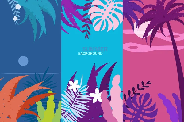 设置夏季热带模板背景故事与棕榈树，天空和日落。夏季标语牌海报传单邀请卡。矢量隔离时尚平面卡通风格 — 图库矢量图片