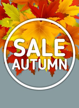 Özel Teklif Sonbahar Satış Arka Plan Şablonu, yaprakları, alışveriş indirimi promosyon, Kartpostal ve Davet kartı için mevsimlik poster düşen demet ile. Vektör illüstrasyon Fişi
