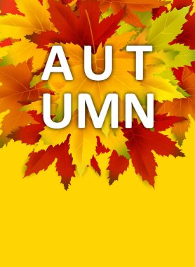 Sonbahar Arka Plan Şablonu, yaprakları, alışveriş indirimi promosyon, Kartpostal ve Davet kartı için mevsimlik poster düşen demet ile. Vektör illüstrasyon Fişi, Banner, Flyer