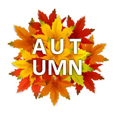 Sonbahar Arka Plan Şablonu, yaprakları, alışveriş indirimi promosyon, Kartpostal ve Davet kartı için mevsimlik poster düşen demet ile. Vektör illüstrasyon Fişi, Banner, Flyer