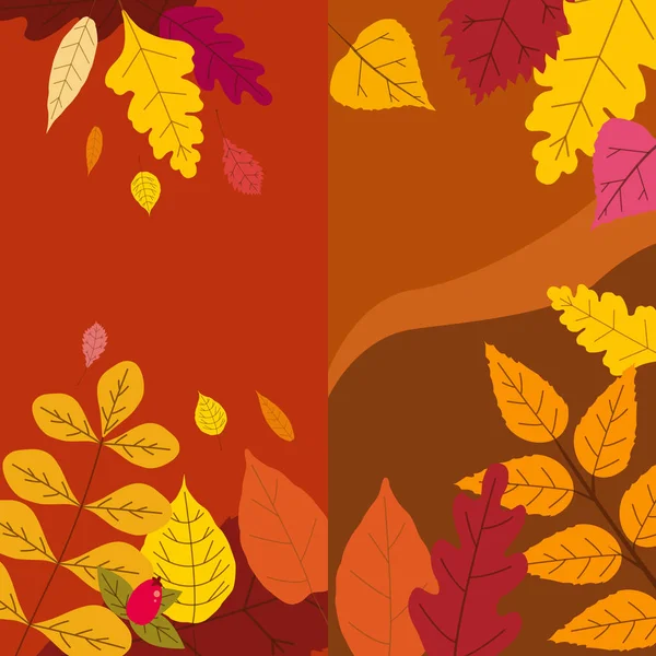 Set coloré automne modèles de feuilles tombées d'automne feuillage jaune orangé. Fond médias sociaux histoires bannières. Modèle pour invitation d'événement, catalogue de produits, publicité. Vecteur isoalté — Image vectorielle