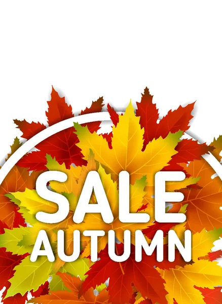 Autumn Sale Background Template, with falling bunch of leaves, shopping sale or seasonal poster for shopping discount promotion, Postcard and Invitation card. Vector illustration Voucher, Banner