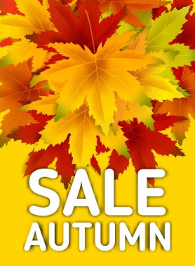 Sonbahar Satış Arka Plan Şablonu, yaprakları, alışveriş indirimi promosyon, Kartpostal ve Davet kartı için mevsimlik poster düşen demet ile. Vektör illüstrasyon Fişi, Banner