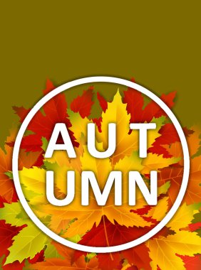 Sonbahar Arka Plan Şablonu, yaprakları, alışveriş indirimi promosyon, Kartpostal ve Davet kartı için mevsimlik poster düşen demet ile. Vektör illüstrasyon Fişi, Banner, Flyer