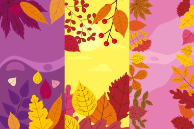 Sonbahar düşmüş renkli sonbahar şablonları ayarlayın turuncu sarı yeşillik bırakır. Arka planlar sosyal medya hikayeleri afiş. Etkinlik daveti, ürün kataloğu, reklam için şablon. Vektör izole