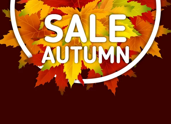 Special Offer Autumn Sale Background Template, with falling bunch of leaves, shopping sale or seasonal poster for shopping discount promotion, Postcard and Invitation card. Vector illustration Voucher
