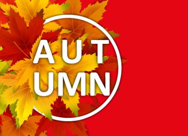 Sonbahar Arka Plan Şablonu, yaprakları, alışveriş indirimi promosyon, Kartpostal ve Davet kartı için mevsimlik poster düşen demet ile. Vektör illüstrasyon Fişi, Banner, Flyer