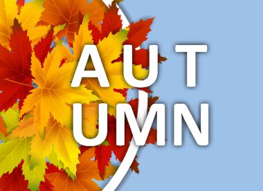 Sonbahar Arka Plan Şablonu, yaprakları, alışveriş indirimi promosyon, Kartpostal ve Davet kartı için mevsimlik poster düşen demet ile. Vektör illüstrasyon Fişi, Banner, Flyer