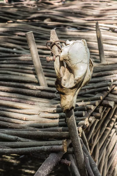 Prázdný Vinný Měch Visící Proutěný Plot Venkovského Prostředí Rusticl Život — Stock fotografie