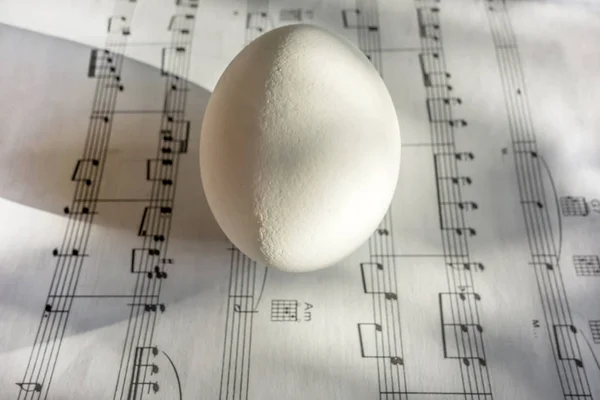 Uovo bianco primo piano su note nere. Concetto creativo, in bianco e nero — Foto Stock