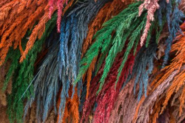 Renkli kuru otlar Dekoratif arka plan