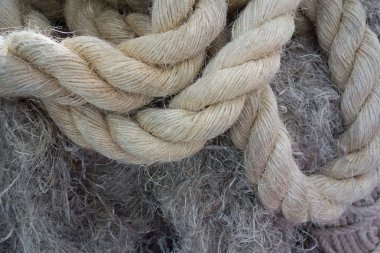 Abutilon theophrastii ürünleri doku arka plan