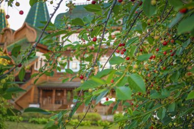 Kolomenskoye Manor