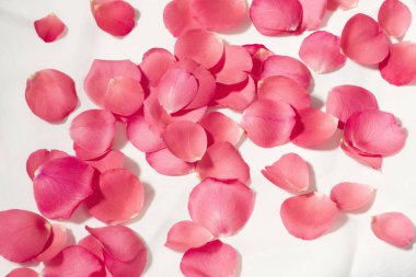 Gül yaprakları - tonlu görüntü