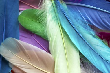 Renkli yapay tüyler yakın çekim