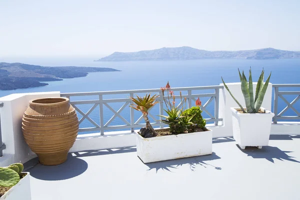 Terrace Mediterranean Flowers Santorini Island — Stock Photo, Image