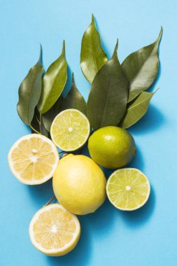 Limon ve limes yeşil ile mavi arka plan üzerinde bırakır