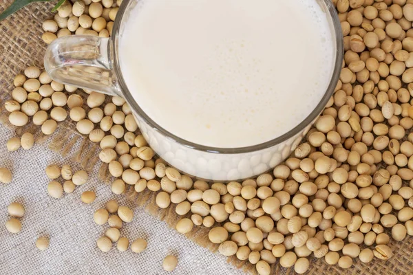 Soy Milk Soy Beans — Stock Photo, Image