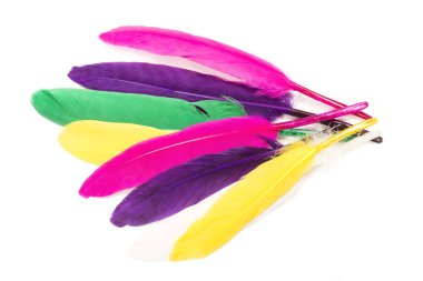 Renkli tüyleri beyaz zemin üzerine izole