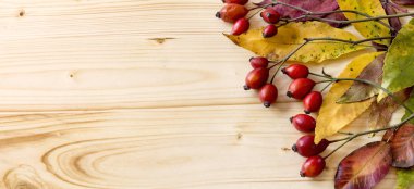 Yabani gül dalları ile ahşap arka plan üzerinde kuru sonbahar pus