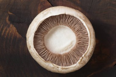 Ahşap arka plan üzerinde tek taze champignon
