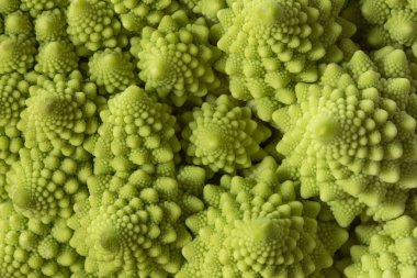 Romanesco brokoli yakın çekim