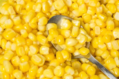 Haşlanmış mısır taneleri bir kaşık ile