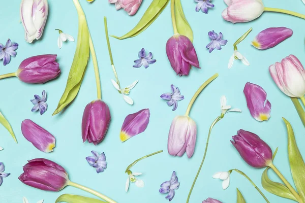 White Purple Tulips Blue Background — Stock Photo, Image