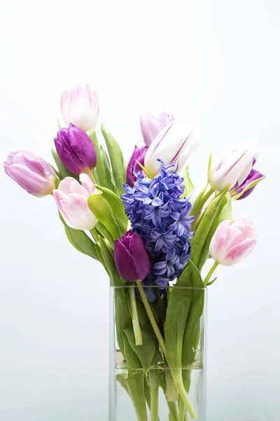 Весняні Тюльпани Гіацинт Вазі — стокове фото